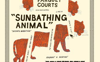 Parquet Courts, Sunbathing Animal